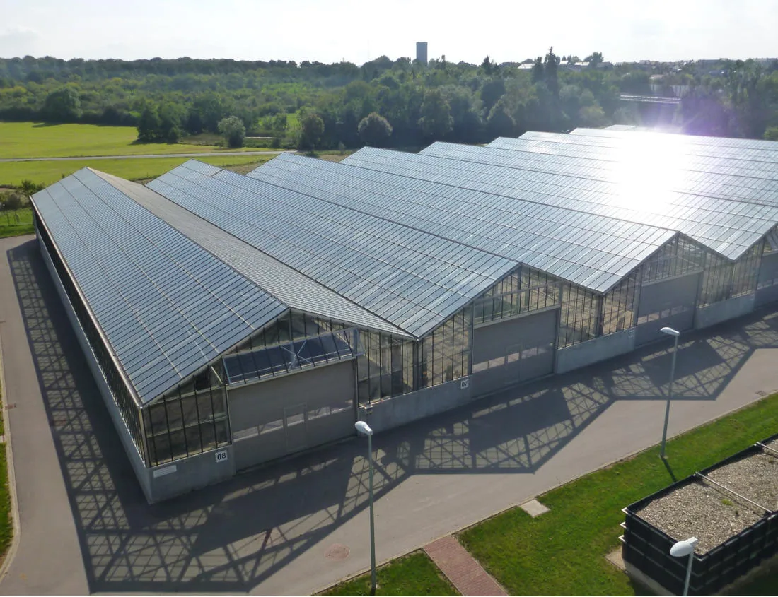 halles de la sêchoirs solaire